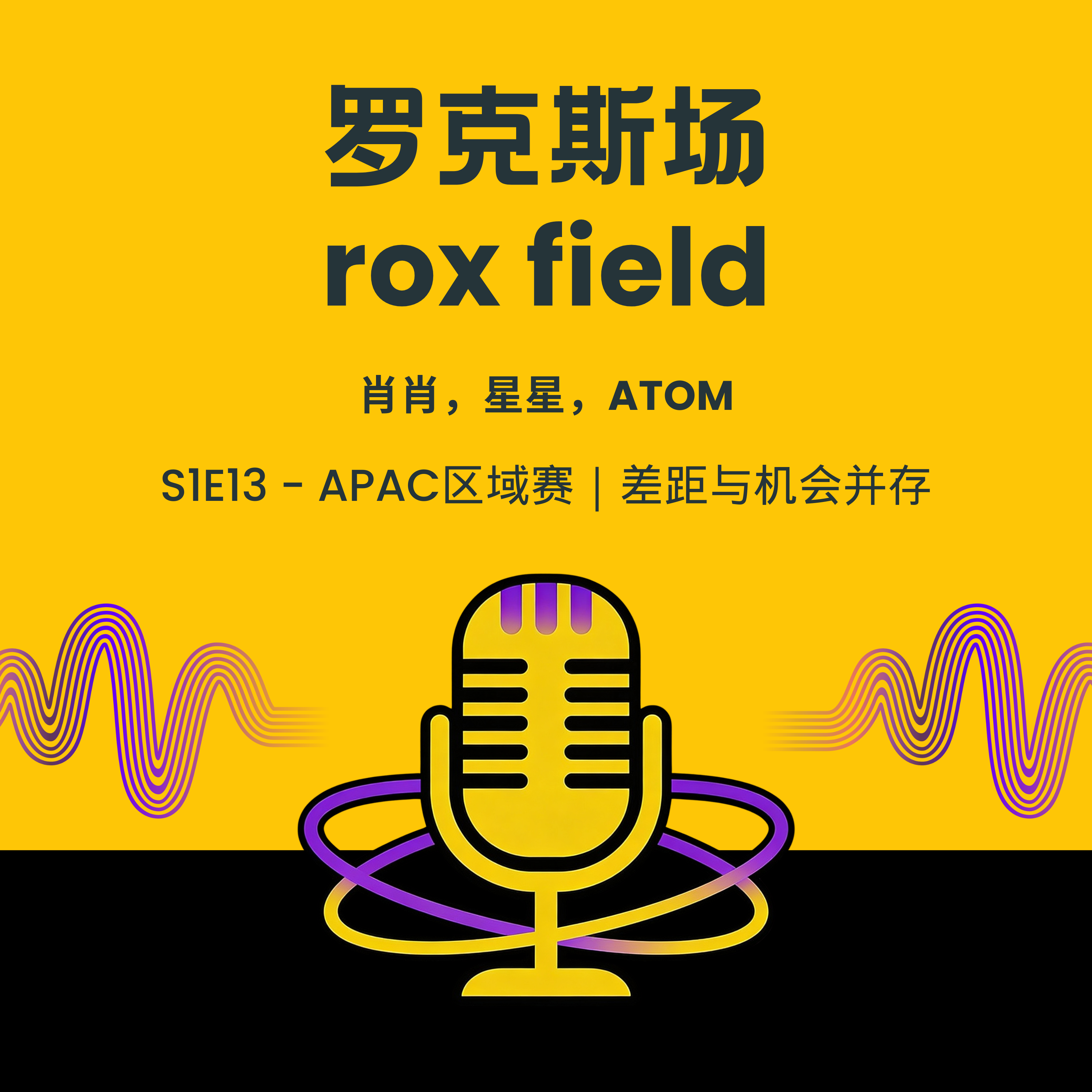S1E13 - APAC区域赛｜差距与机会并存 episode artwork