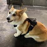 双儿_fPEM