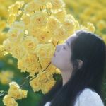 月亮爬上沙丘
