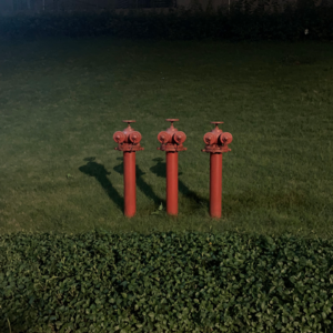 纳凉特辑｜泰兰德惊魂夜，TA还跟着我回国了…