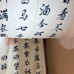 Vol.25 体验心态过“回家的难关”｜我就静静看大家演