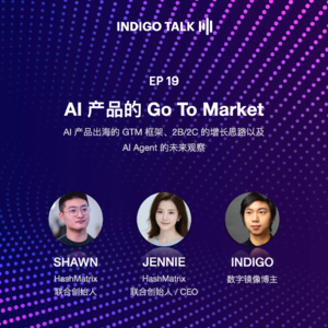 AI 产品的 Go To Market / INDIGO TALK - EP19