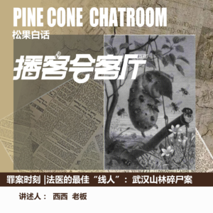 53.罪案时刻|法医的最佳“线人”：武汉山林碎尸案