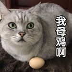 鬼不灵Ashley