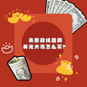 E19.美股日线级别回调 美光大涨该怎么买？