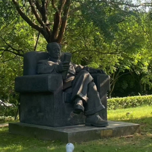 33.就展览么我行我上!