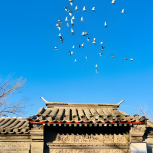 此刻便是全部