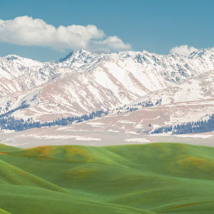 62、又长大了一岁，今年悟出了点啥