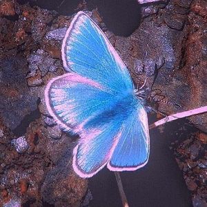 podcaster-avatar