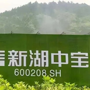 曾经的温州首富“坠落”：新湖中宝债务压顶，短期负债是货币资金的3倍，员工理财爆雷