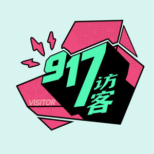 917访客