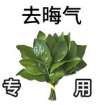 柑荼