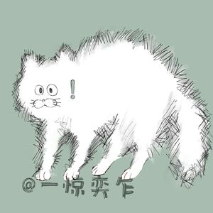 Ep.8|年终总结20问:人生没有白走的路 肆意生长吧!