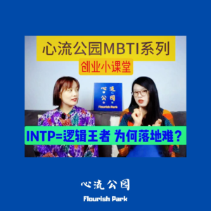 E20 MBTI创业小课堂之INTP=逻辑王者,却为何总是落地难?