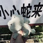 编号