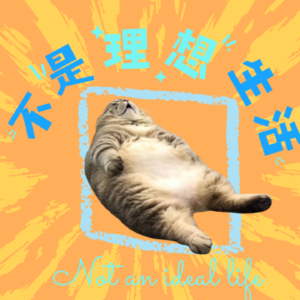 不是理想生活