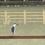 见丰