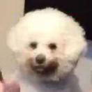 乃代