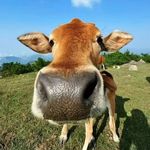 声无可练