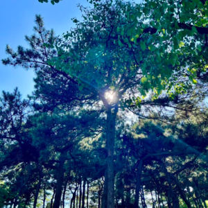 006火山的三种“生命状态”——从活跃到沉寂