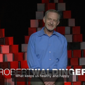 EP06 (全英) What Makes a Good Life: 究竟是什么让我们在生活中保持幸福和健康？