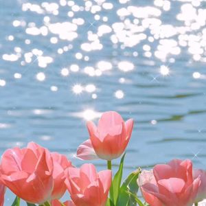 洋泾浜英语—皮钦语