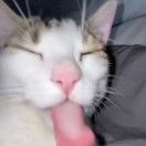 咕咕哒_m5Ye