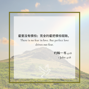 S2E15 当身份和信仰打架时，我还能做自己吗？