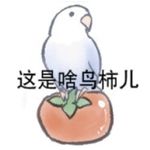 苏格兰打卤面