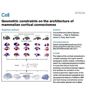 1319-Geometric Constraints on Mammalian Cortical Connectomes