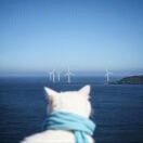 这是一个小树洞