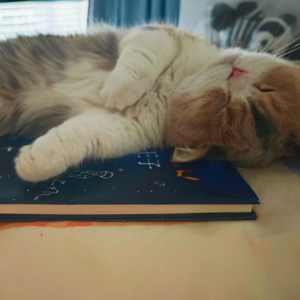 Vol.06 品名篇:用心看见小王子,像小孩一样去爱