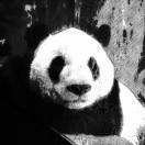 山丘_v8Y6