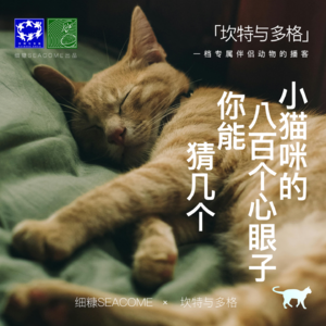 003期 ｜小猫咪的八百个心眼子，你能猜几个