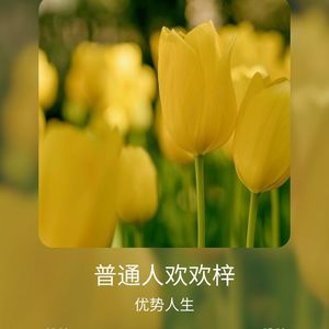 OH卡每日自由书写感悟