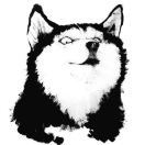 鹏鹏tom