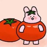 鲸鱼大佬