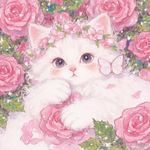 君_jfe3
