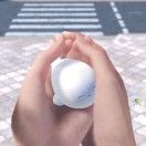 银鱼_tyhA