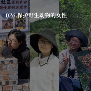 026.保护野生动物的女性：2025年的身心俱疲和充满希望的瞬间