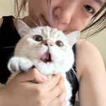 吃嘛嘛都香