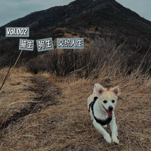 Vol.002 猫生 狗生 交织人生