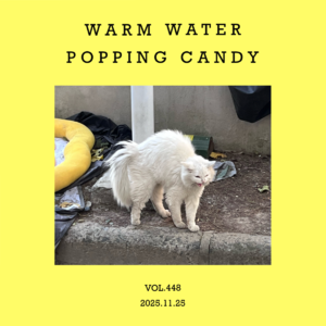 vol.448：给耳朵一杯温水，再给耳朵一包跳跳糖～