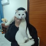 x小玲x
