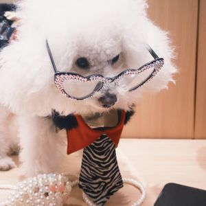 Rejina_tqnY