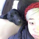 安安老师休业中