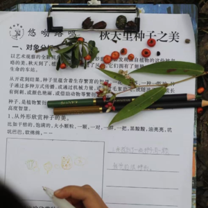 揭秘孩子美术教育的真相：你不知道的事