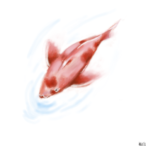 Vol.089 精英感播客, 到底做错了什么？