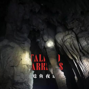 Ep152.“生基洞，生祭洞？大姨身上全是手印”“投井”“开车遇怪（续集）”