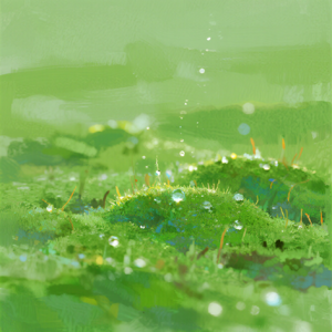 像苔藓一样，微小但强韧地活下来｜080苔藓